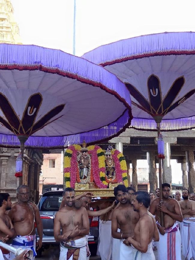 THiruvahindrapuram Sri Devanathan Perumal Temple  Thiruvadipooram utsavam day 9 -2015 03