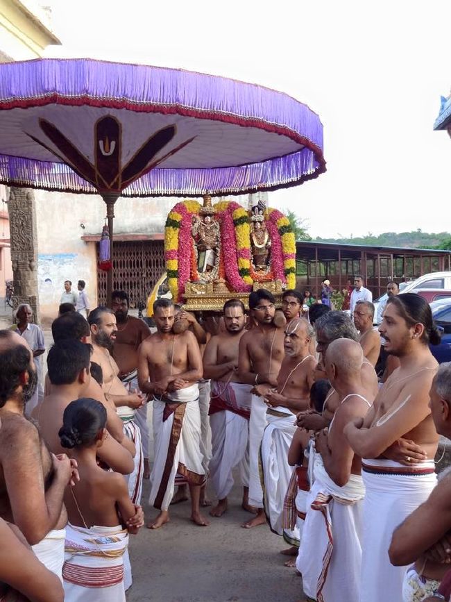 THiruvahindrapuram Sri Devanathan Perumal Temple  Thiruvadipooram utsavam day 9 -2015 06