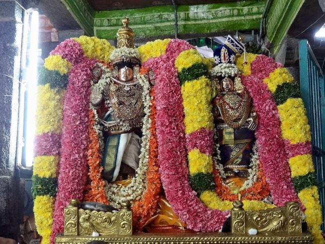 THiruvahindrapuram Sri Devanathan Perumal Temple  Thiruvadipooram utsavam day 9 -2015 14