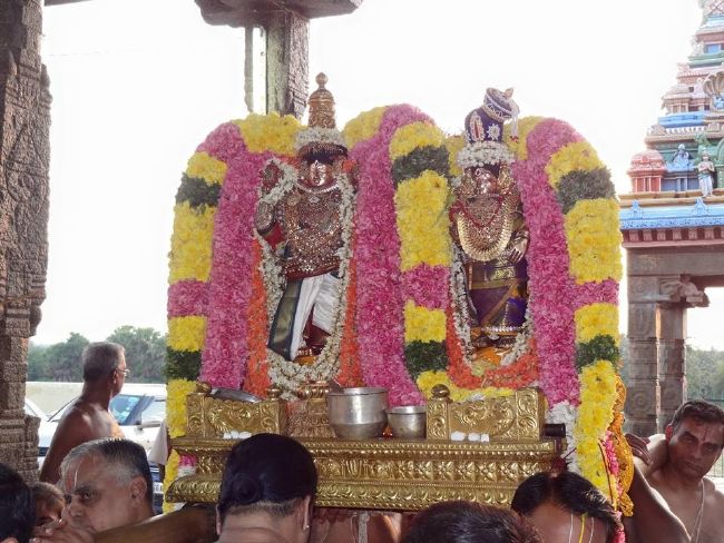 THiruvahindrapuram Sri Devanathan Perumal Temple  Thiruvadipooram utsavam day 9 -2015 19
