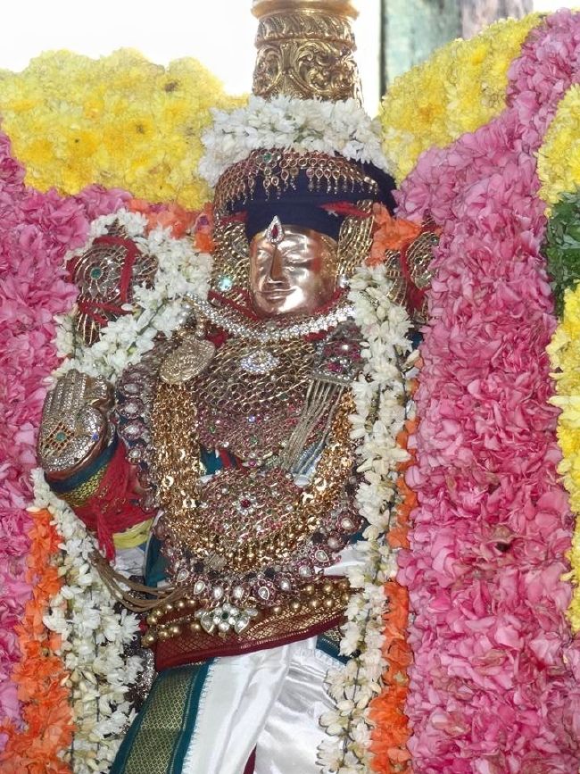 THiruvahindrapuram Sri Devanathan Perumal Temple  Thiruvadipooram utsavam day 9 -2015 22