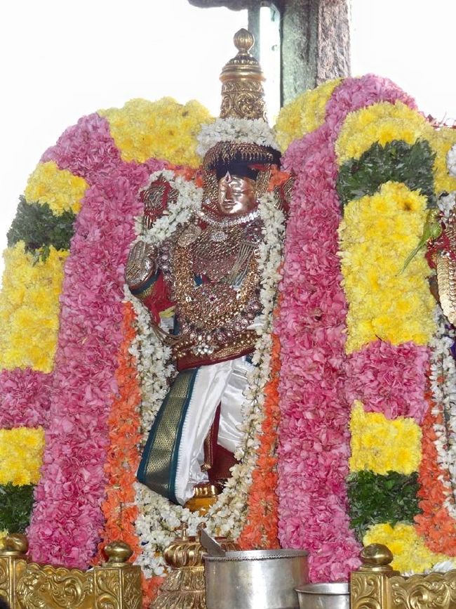 THiruvahindrapuram Sri Devanathan Perumal Temple  Thiruvadipooram utsavam day 9 -2015 24