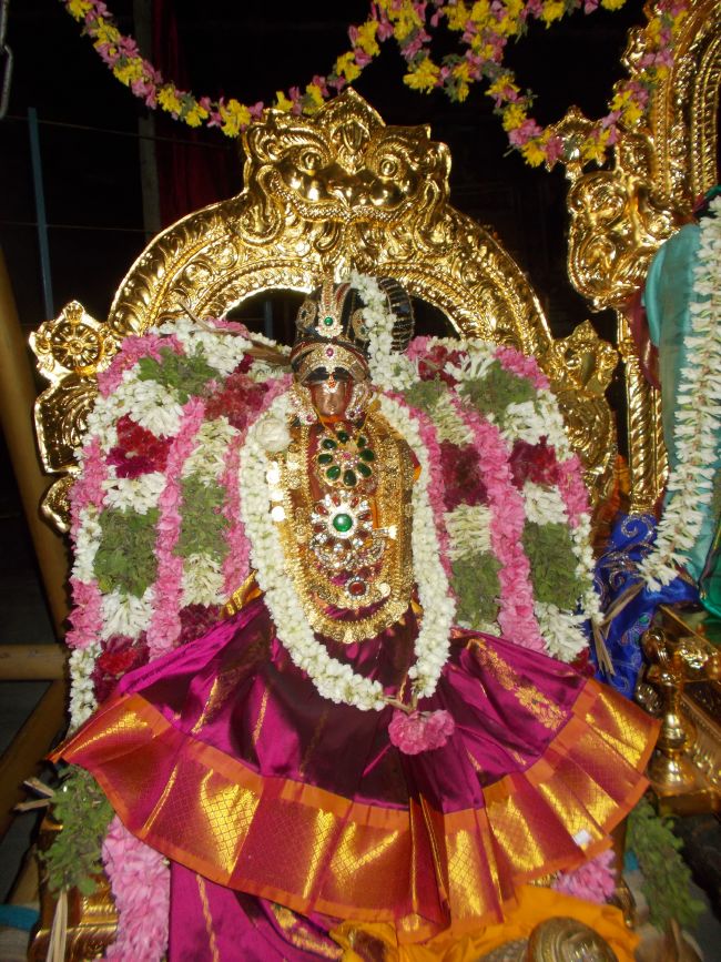 Therazhundur Sri Amaruviappan KOvil Thiruaadipooram Kalyana Utsavam -2015 10