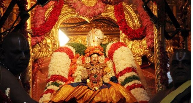 Thiruchanoor Sri Padmavathi Thayar Temple Manmadha Varusha Varalakshmi Vratham13