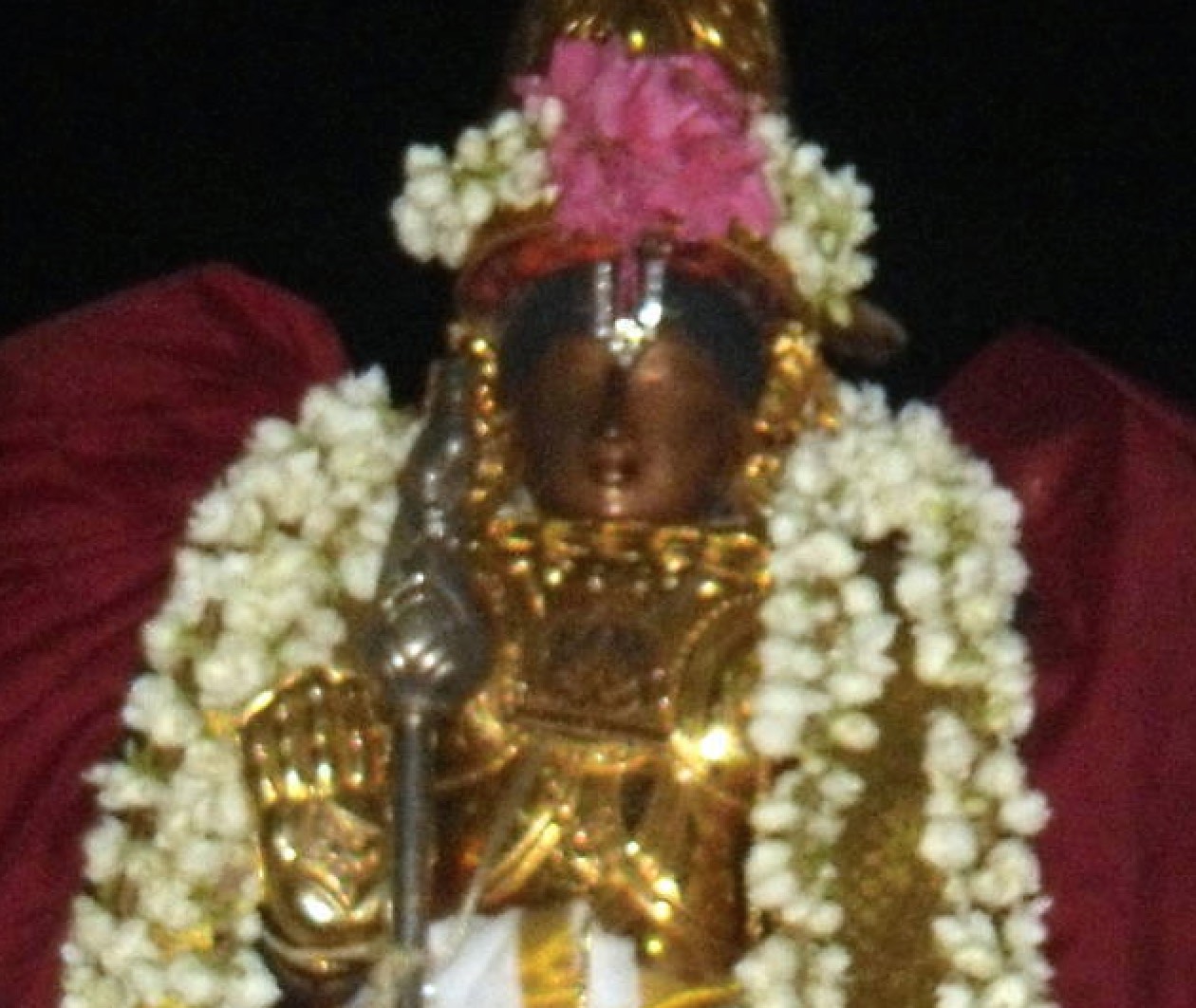 Thirukannamangai Sri Bhaktavatsala Perumal Aadi velli purappadu