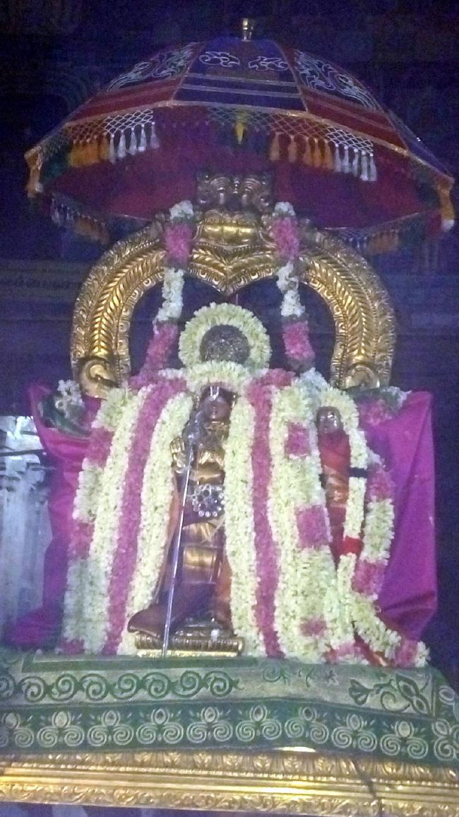 Thirukkanamangai Sri Bhakthavatsala Perumal Temple Thiruaadipooram Utsavam-2015 05