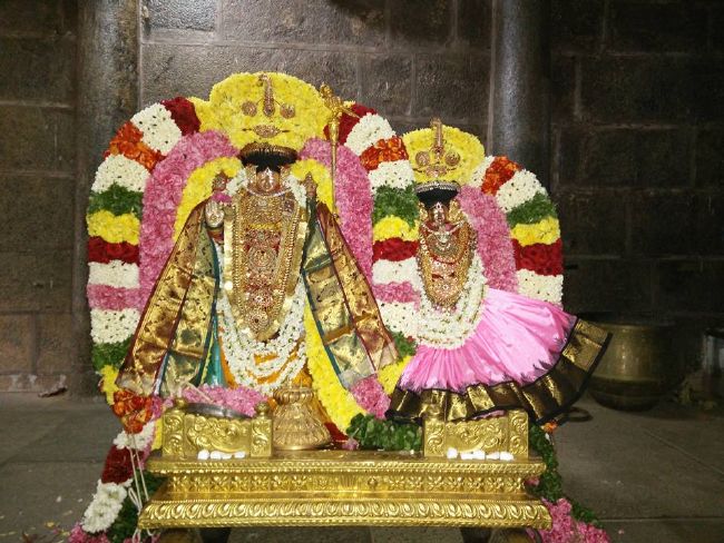 Thiruvahindrapuram Sri Devanathan PErumal Sannadhi Thiruvadipoora Utsavam day 2-2015 1
