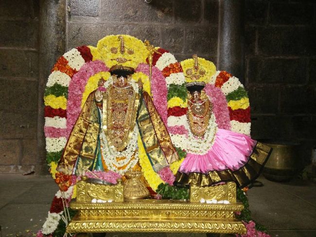Thiruvahindrapuram Sri Devanathan PErumal Sannadhi Thiruvadipoora Utsavam day 2-2015 3