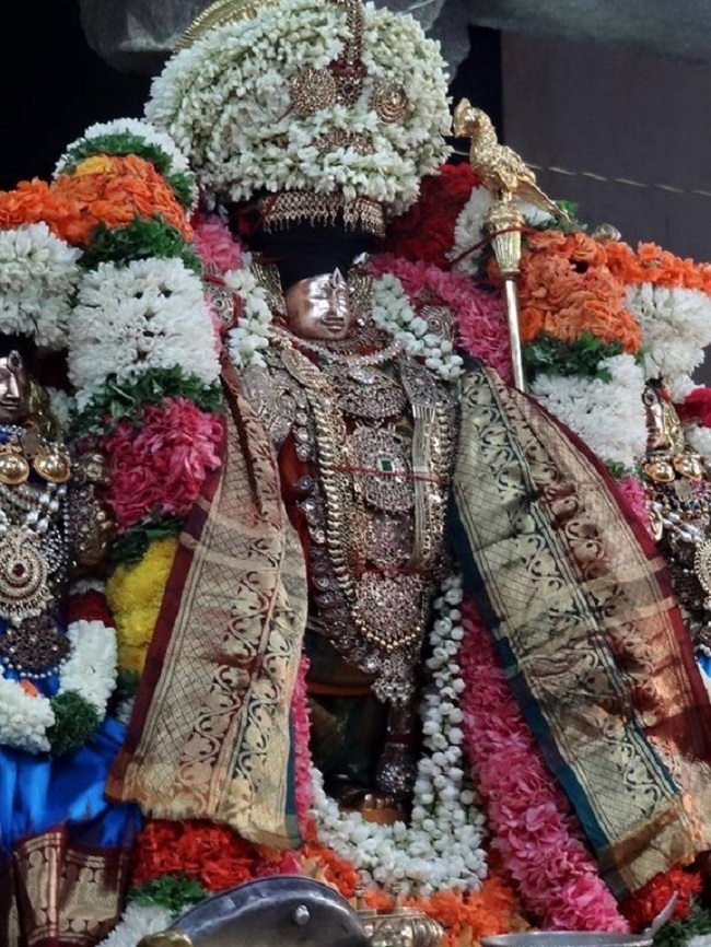 Thiruvahindrapuram Sri Devanathan Perumal Temple Aadi Amavasai Purappadu16
