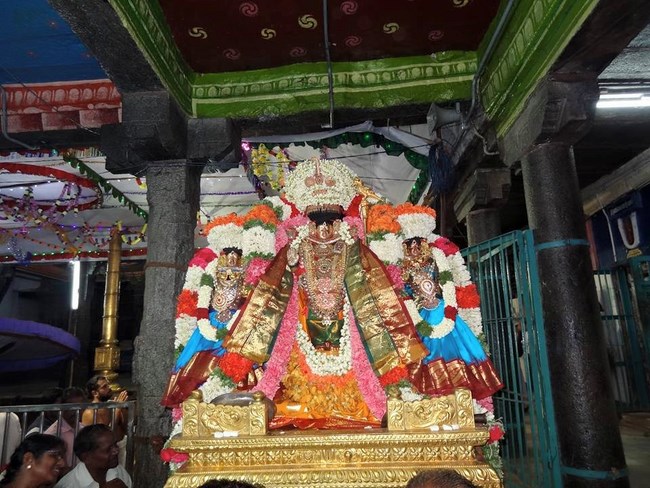 Thiruvahindrapuram Sri Devanathan Perumal Temple Aadi Amavasai Purappadu2