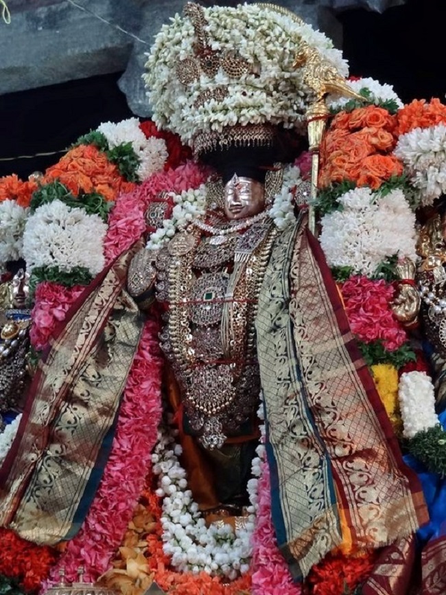 Thiruvahindrapuram Sri Devanathan Perumal Temple Aadi Amavasai Purappadu23