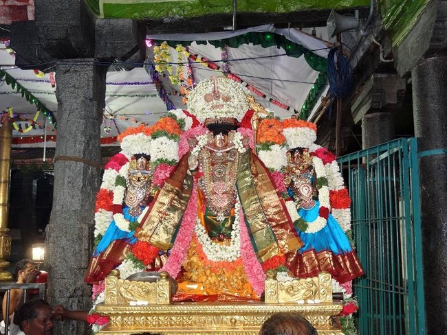 Thiruvahindrapuram Sri Devanathan Perumal Temple Aadi Amavasai Purappadu9