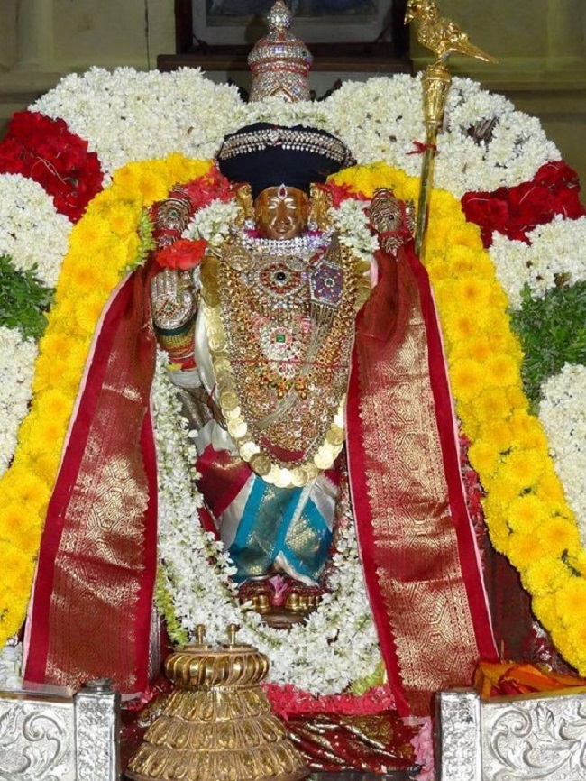 Thiruvahindrapuram Sri Devanathan Perumal Temple Sri Alavandhar Thirunakshatra Utsavam6