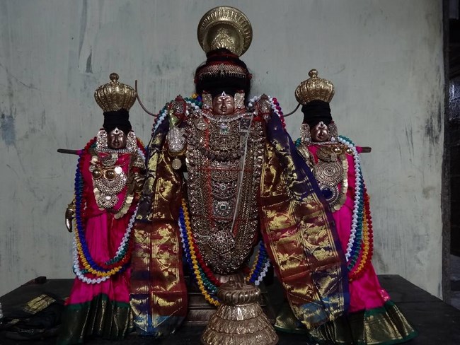 Thiruvahindrapuram Sri Devanathan Perumal Temple Thiru Pavithrothsava Satrumurai1