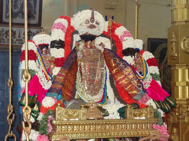 Thiruvahindrapuram Sri Devanathan Perumal Temple Thiru Pavithrothsava Satrumurai13