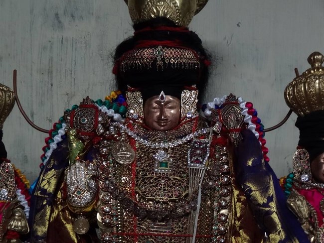 Thiruvahindrapuram Sri Devanathan Perumal Temple Thiru Pavithrothsava Satrumurai15