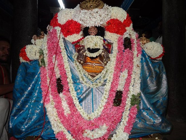 Thiruvahindrapuram Sri Devanathan Perumal Temple Thiru Pavithrothsava Satrumurai17