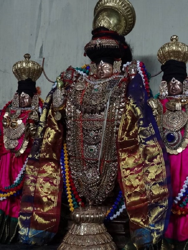 Thiruvahindrapuram Sri Devanathan Perumal Temple Thiru Pavithrothsava Satrumurai2