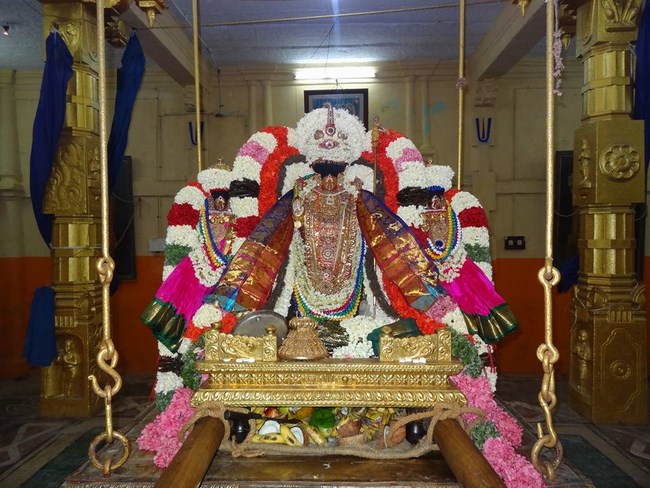 Thiruvahindrapuram Sri Devanathan Perumal Temple Thiru Pavithrothsava Satrumurai20