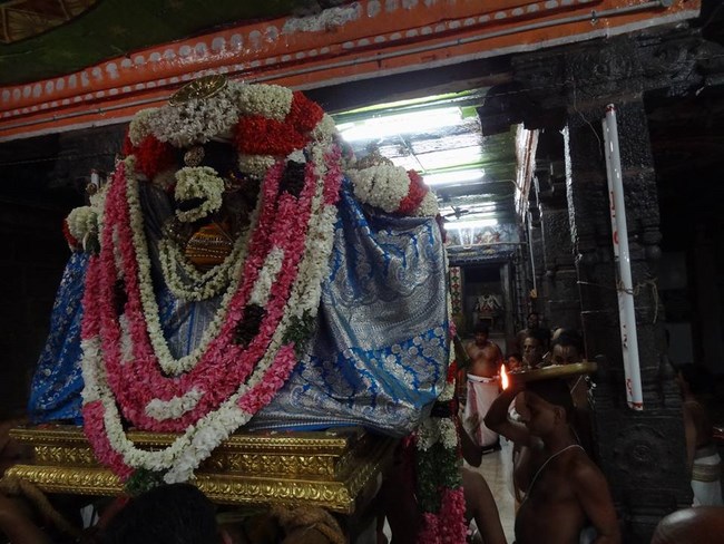 Thiruvahindrapuram Sri Devanathan Perumal Temple Thiru Pavithrothsava Satrumurai3