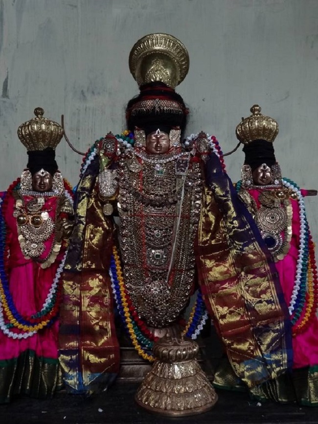 Thiruvahindrapuram Sri Devanathan Perumal Temple Thiru Pavithrothsava Satrumurai5