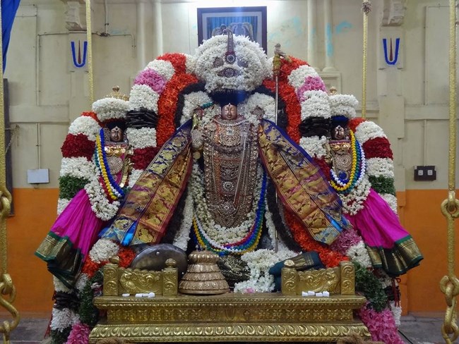 Thiruvahindrapuram Sri Devanathan Perumal Temple Thiru Pavithrothsava Satrumurai6