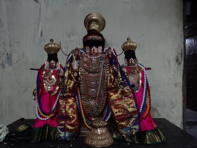 Thiruvahindrapuram Sri Devanathan Perumal Temple Thiru Pavithrothsava Satrumurai8