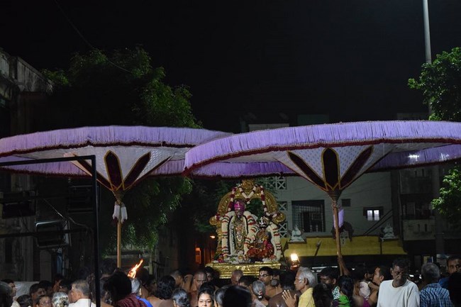 Thiruvallikeni Sri Parthasarathy Swamy Temple  Manmadha Varusha Thiruvadipooram Utsavam12