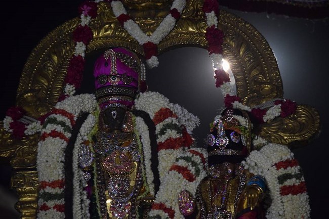 Thiruvallikeni Sri Parthasarathy Swamy Temple  Manmadha Varusha Thiruvadipooram Utsavam13