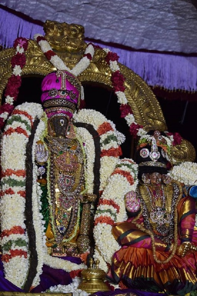 Thiruvallikeni Sri Parthasarathy Swamy Temple  Manmadha Varusha Thiruvadipooram Utsavam16