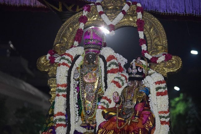 Thiruvallikeni Sri Parthasarathy Swamy Temple  Manmadha Varusha Thiruvadipooram Utsavam19