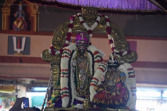 Thiruvallikeni Sri Parthasarathy Swamy Temple  Manmadha Varusha Thiruvadipooram Utsavam24