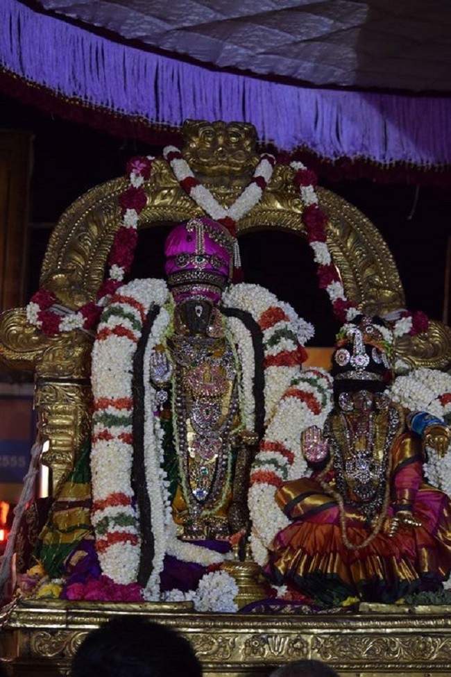 Thiruvallikeni Sri Parthasarathy Swamy Temple  Manmadha Varusha Thiruvadipooram Utsavam6