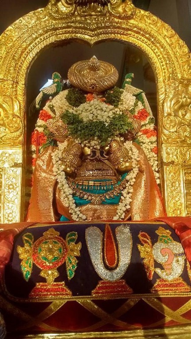 Thiruvallur Sri Veeraraghava Perumal Temple Manmadha Varusha Thiruvadipooram Utsavam1