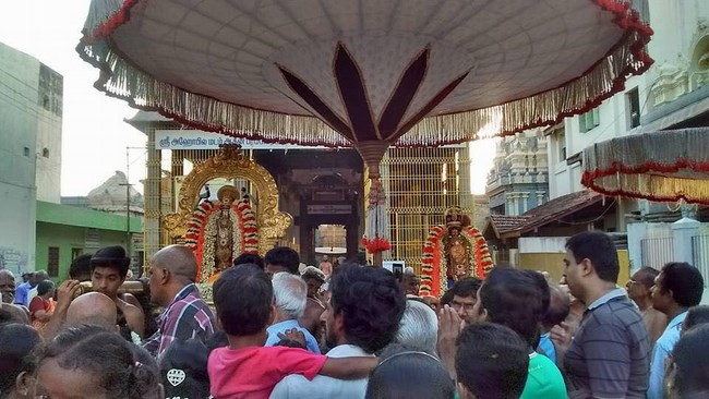 Thiruvallur Sri Veeraraghava Perumal Temple Manmadha Varusha Thiruvadipooram Utsavam4