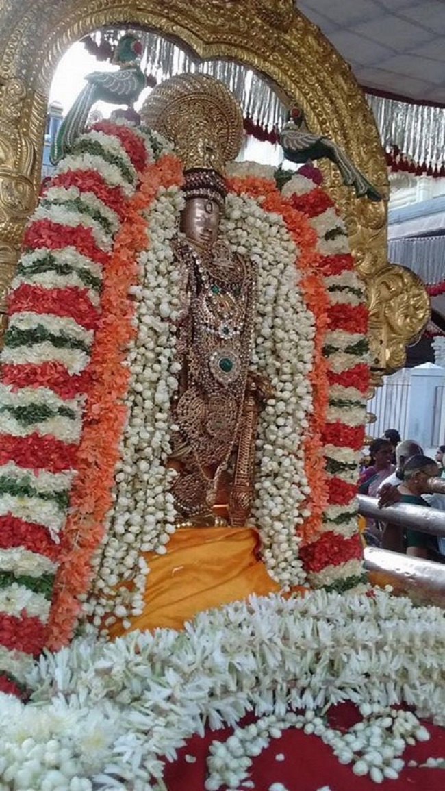 Thiruvallur Sri Veeraraghava Perumal Temple Manmadha Varusha Thiruvadipooram Utsavam5
