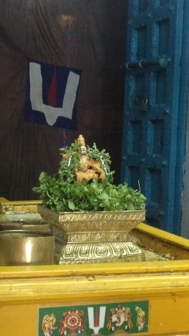Thiruvellukai Aadi ammavasai Thirumanjanam -2015 16