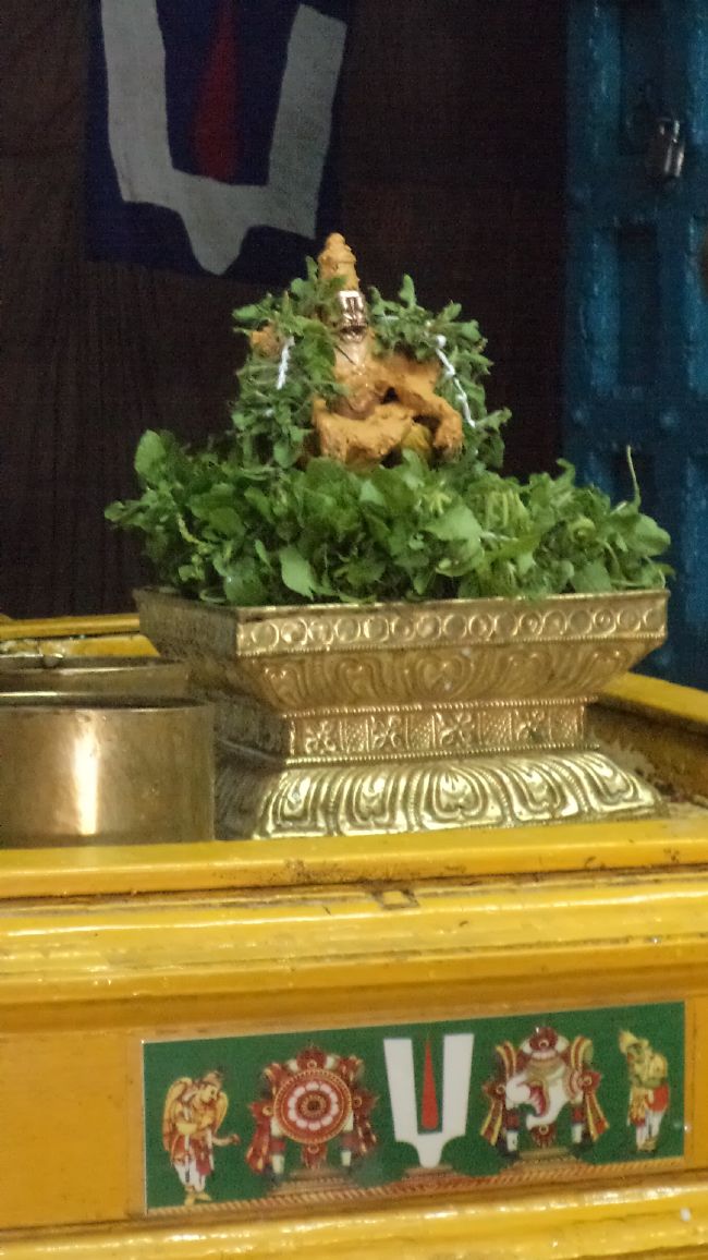 Thiruvellukai Aadi ammavasai Thirumanjanam -2015 17