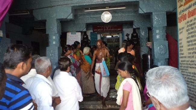 Thiruvellukai Aadi ammavasai Thirumanjanam -2015 24