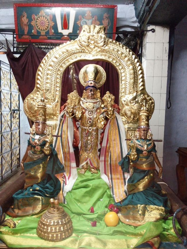 Thiruvelukkai Sri Azhagiya Singaperumal Temple Avani swathi utsvam -2015-01