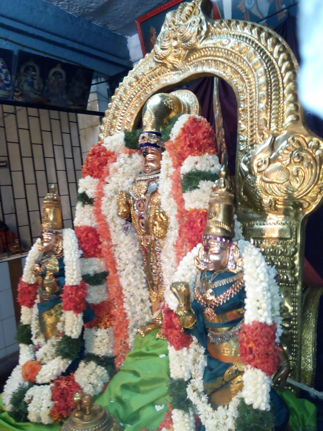Thiruvelukkai Sri Azhagiya Singaperumal Temple Avani swathi utsvam -2015-18