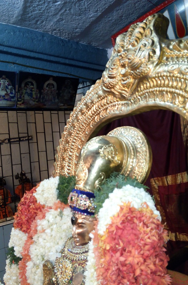 Thiruvelukkai Sri Azhagiya Singaperumal Temple Avani swathi utsvam -2015-20