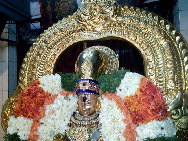 Thiruvelukkai Sri Azhagiya Singaperumal Temple Avani swathi utsvam -2015-21