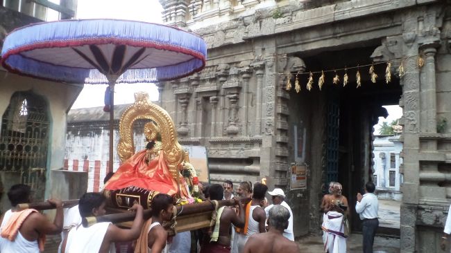 Thiruvelukkai Sri Azhagiya Singaperumal Temple Avatara Utsavam Purappadu  -2015 05