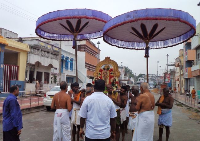 Thiruvelukkai Sri Azhagiya Singaperumal Temple Avatara Utsavam Purappadu  -2015 15