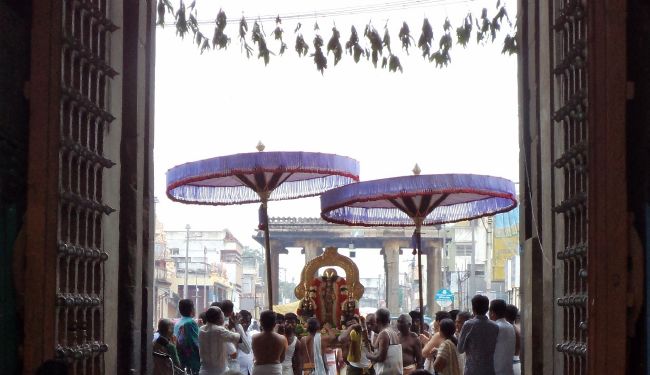 Thiruvelukkai Sri Azhagiya Singaperumal Temple Avatara Utsavam Purappadu  -2015 20