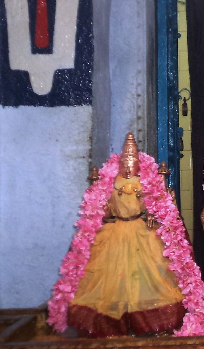 Thiruvelukkai Sri Azhagiya Singaperumal temple avathara utsvam thirumanjanam-2015 16