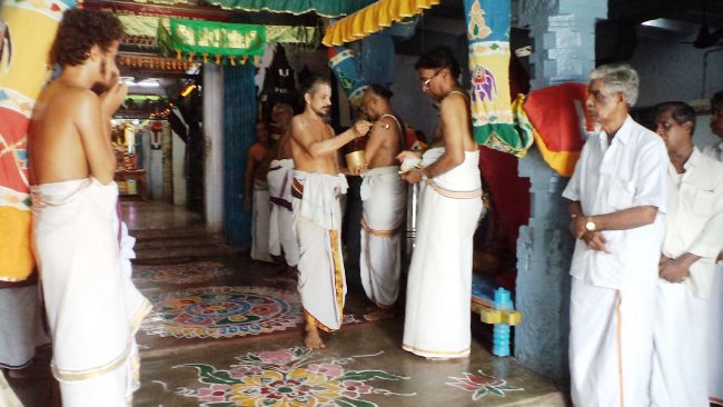 Thiruvelukkai Sri Azhagiya Singaperumal temple avathara utsvam thirumanjanam-2015 20