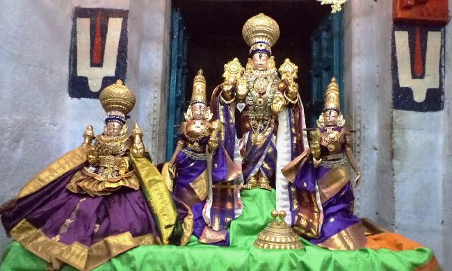 Thiruvelukkai Sri Azhagiya Singaperumal temple avathara utsvam thirumanjanam-2015 22