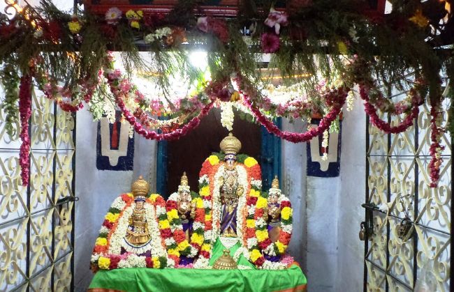 Thiruvelukkai Sri Azhagiya Singaperumal temple avathara utsvam thirumanjanam-2015 34